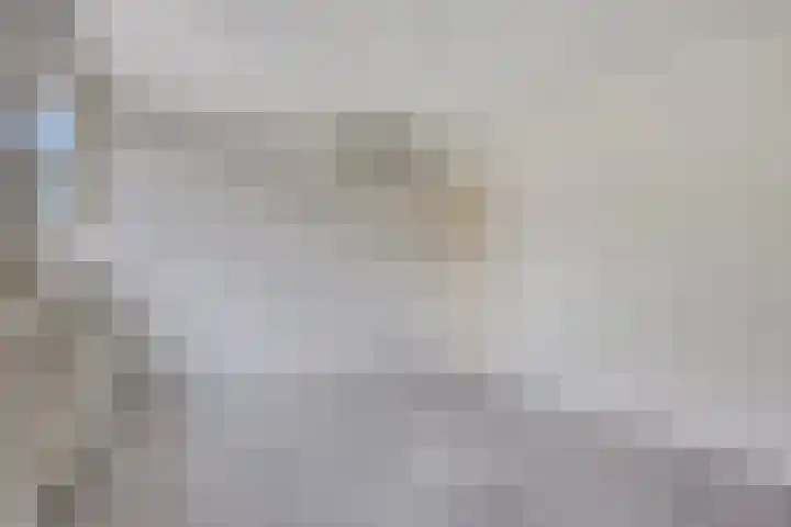 Torenvalk 11 Goirle thumbnail 31