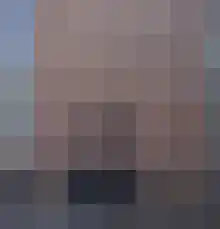Torenvalk 11 Goirle thumbnail 37