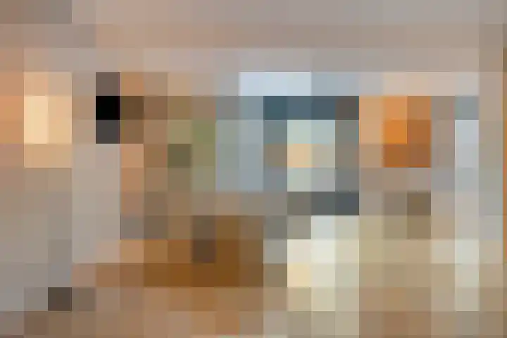Torenvalk 12 Eijsden thumbnail 13