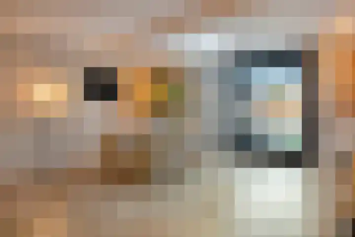Torenvalk 12 Eijsden thumbnail 14