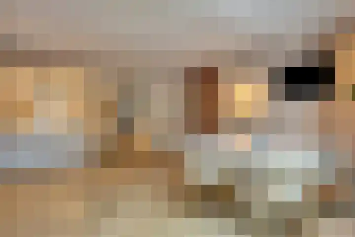 Torenvalk 12 Eijsden thumbnail 15