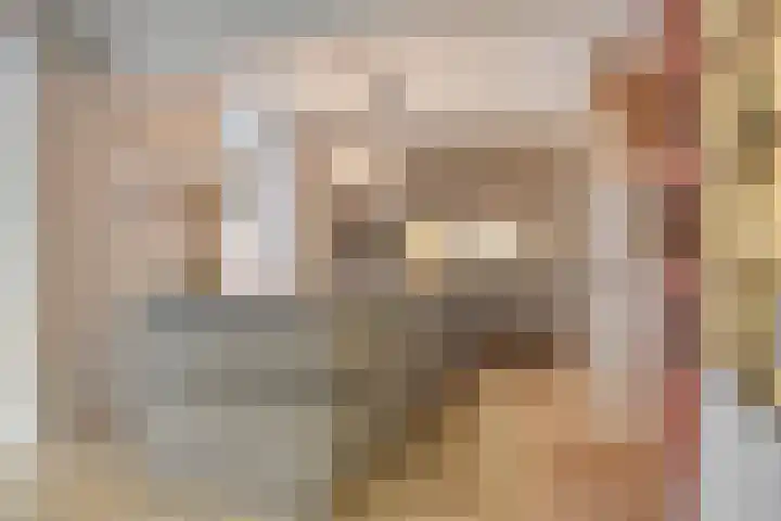 Torenvalk 12 Eijsden thumbnail 18