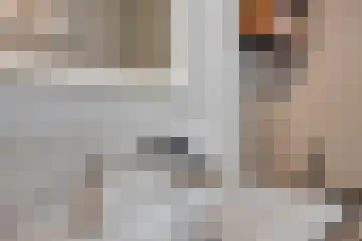 Torenvalk 12 Eijsden thumbnail 32