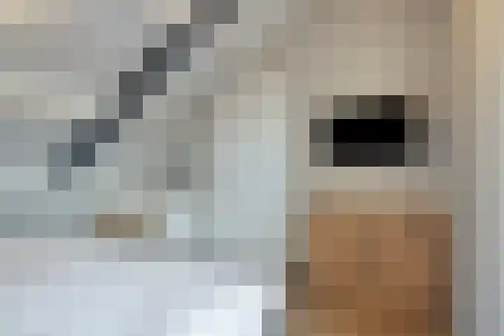 Torenvalk 12 Eijsden thumbnail 37