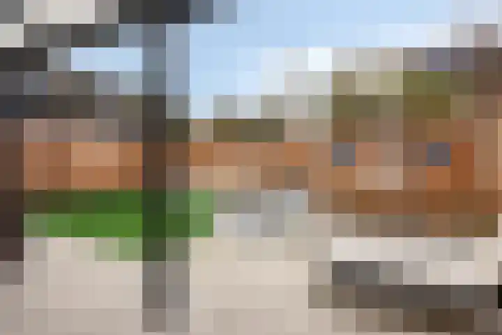Torenvalk 12 Eijsden thumbnail 41