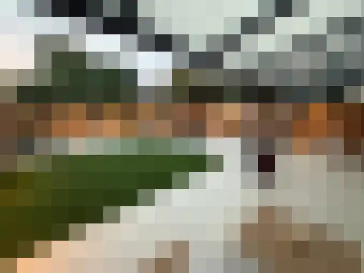 Torenvalk 12 Eijsden thumbnail 47