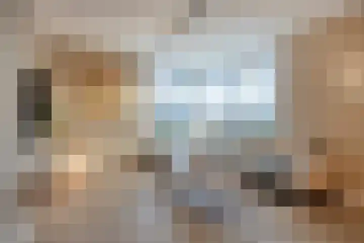 Torenvalk 12 Eijsden thumbnail 8