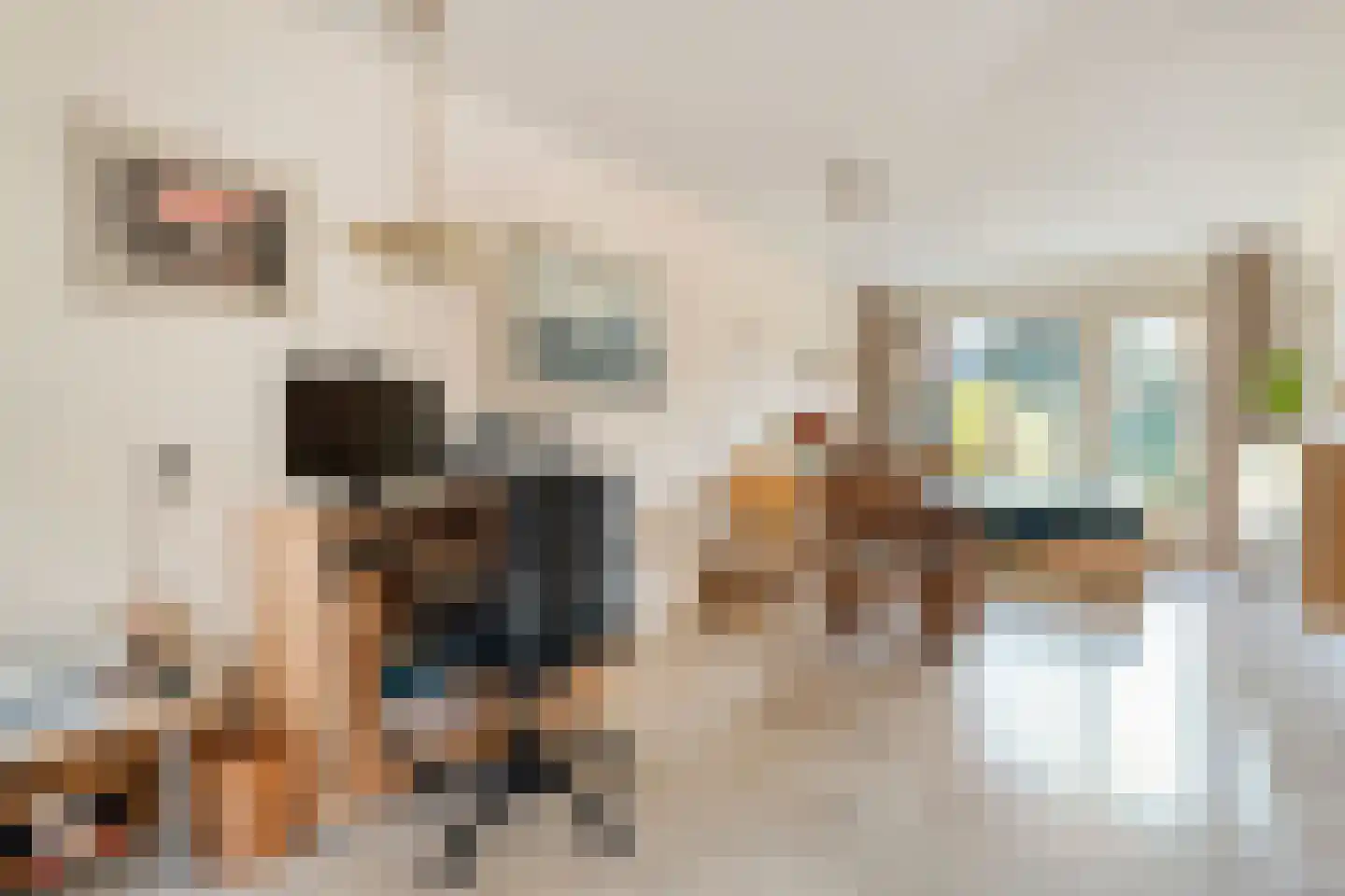 Torenvalk 12 Raalte thumbnail 20