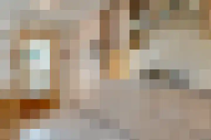 Torenvalk 12 Raalte thumbnail 26