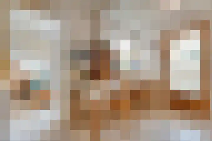 Torenvalk 12 Raalte thumbnail 27