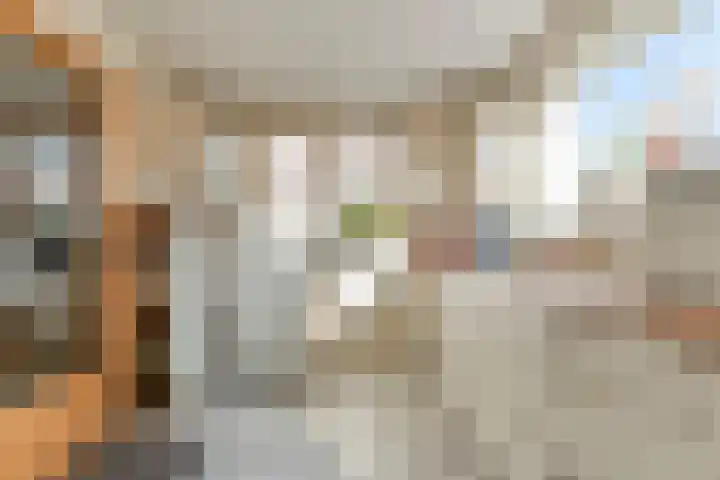 Torenvalk 12 Raalte thumbnail 29