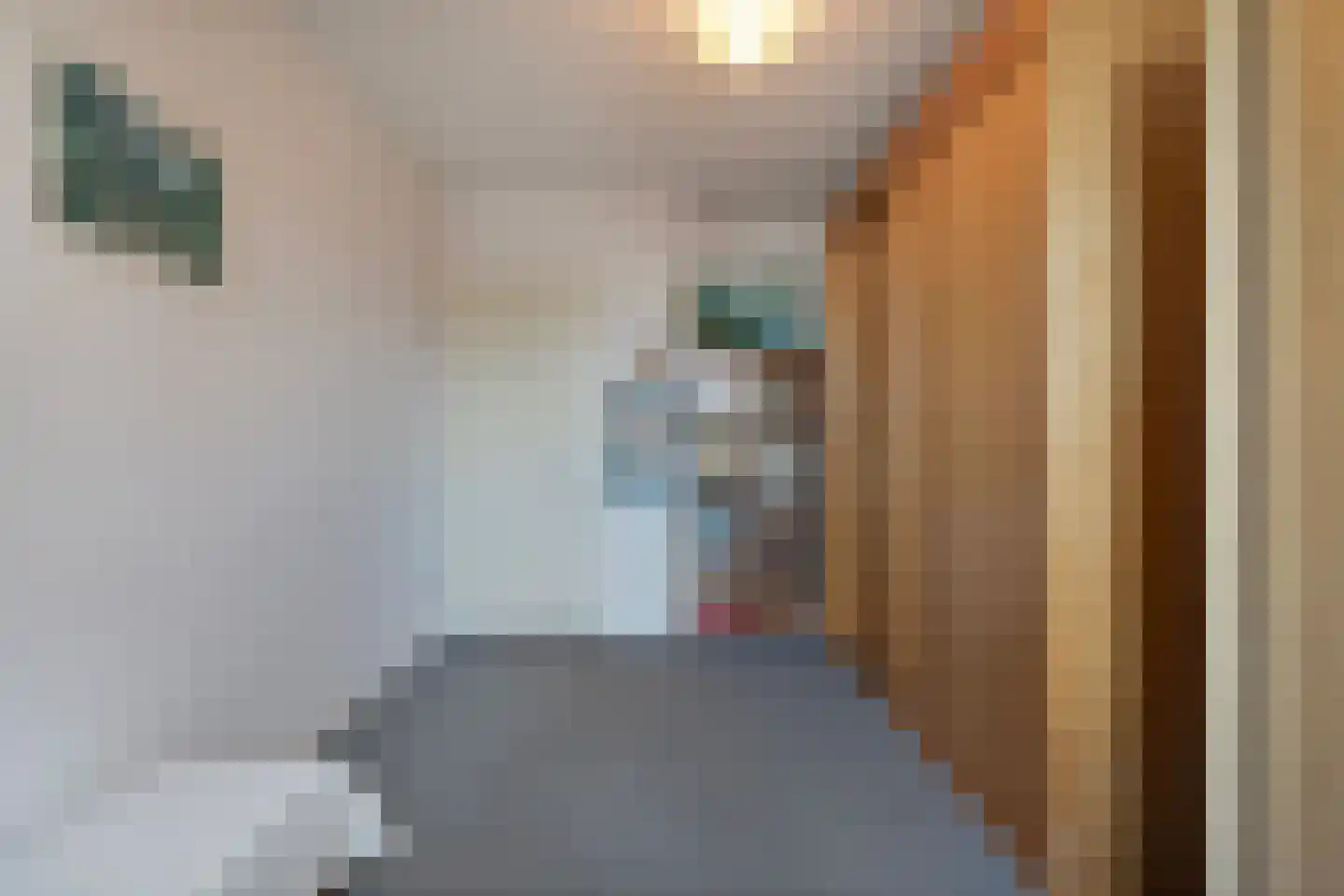 Torenvalk 12 Raalte thumbnail 39