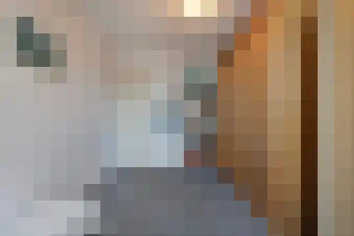 Torenvalk 12 Raalte thumbnail 39