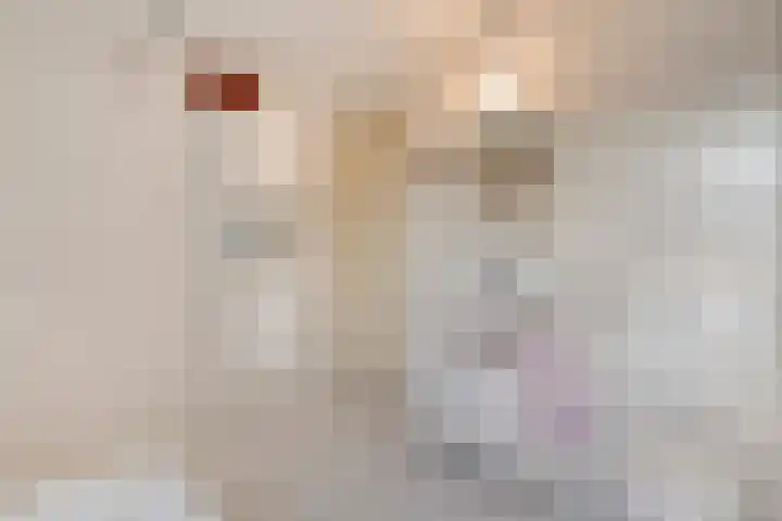 Torenvalk 12 Raalte thumbnail 42