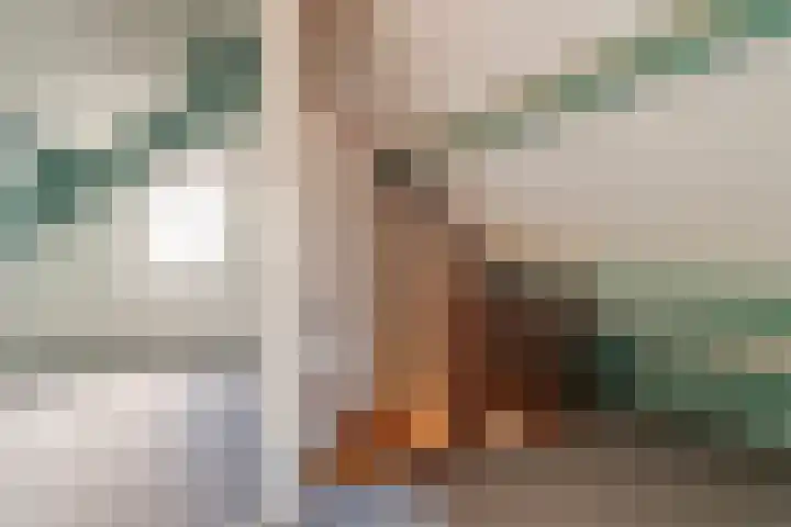 Torenvalk 12 Raalte thumbnail 43