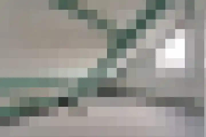 Torenvalk 12 Raalte thumbnail 46