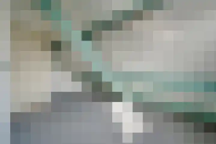 Torenvalk 12 Raalte thumbnail 49