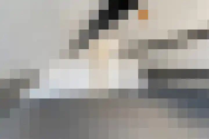 Torenvalk 12 Raalte thumbnail 52