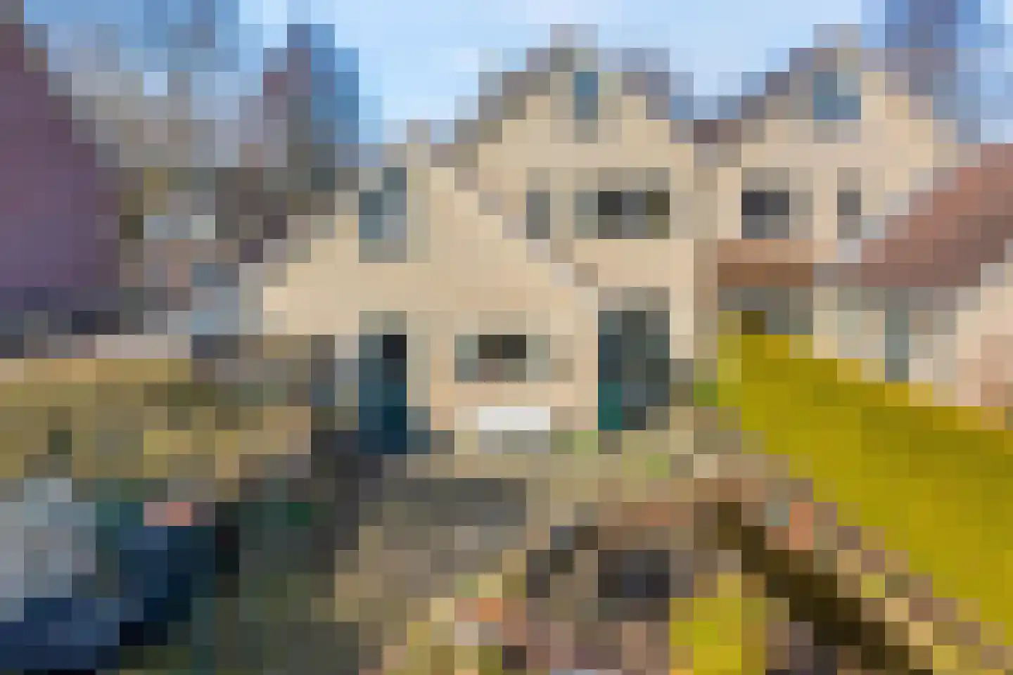Torenvalk 12 Raalte thumbnail 53