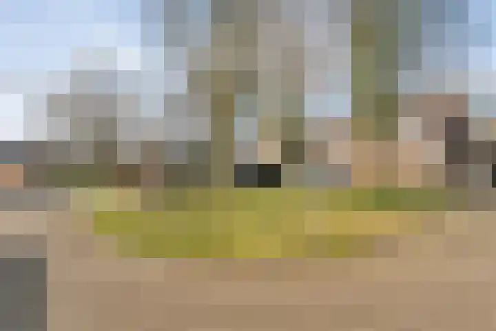 Torenvalk 12 Raalte thumbnail 54