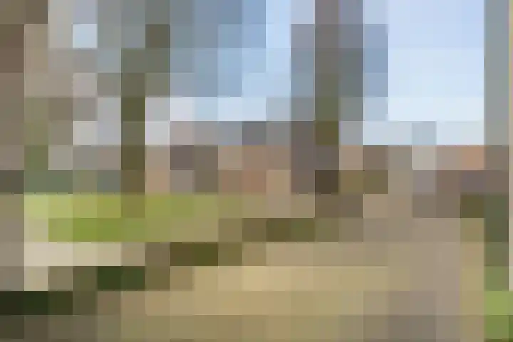 Torenvalk 12 Raalte thumbnail 56