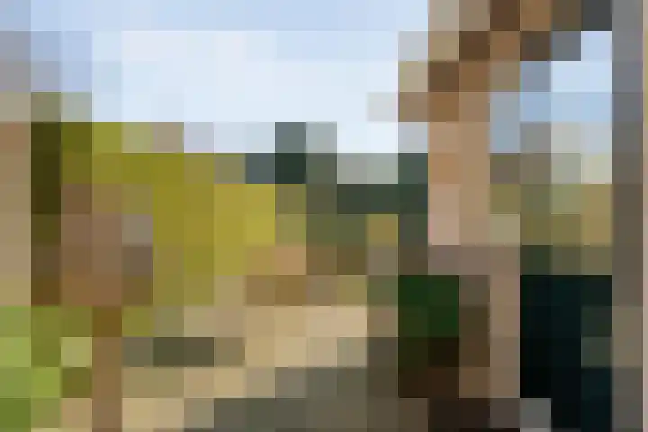 Torenvalk 12 Raalte thumbnail 59