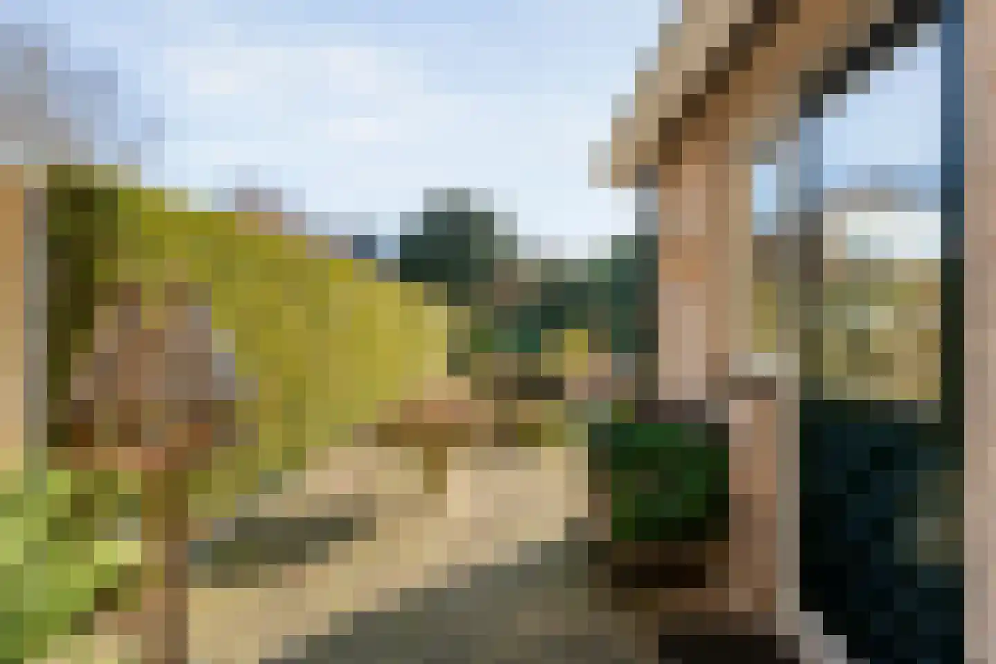 Torenvalk 12 Raalte thumbnail 59