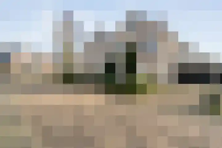 Torenvalk 12 Raalte thumbnail 6