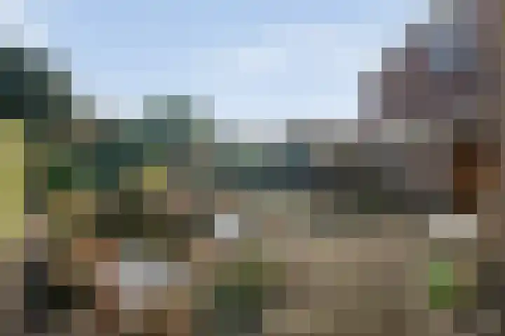 Torenvalk 12 Raalte thumbnail 60