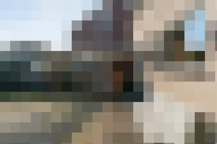 Torenvalk 12 Raalte thumbnail 61