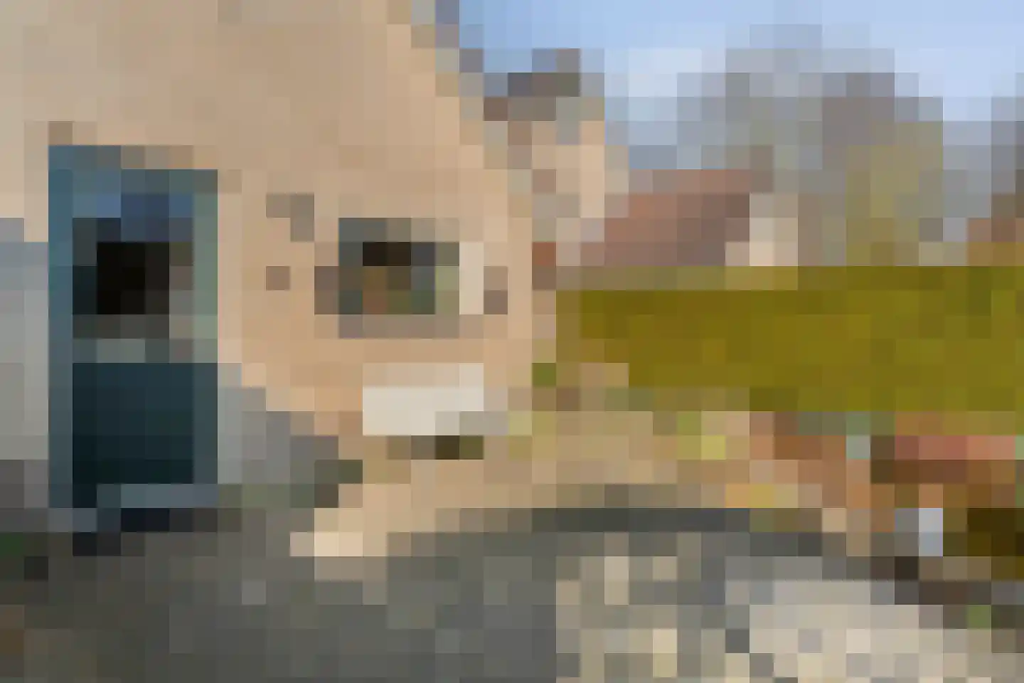 Torenvalk 12 Raalte thumbnail 62