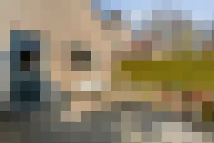 Torenvalk 12 Raalte thumbnail 62