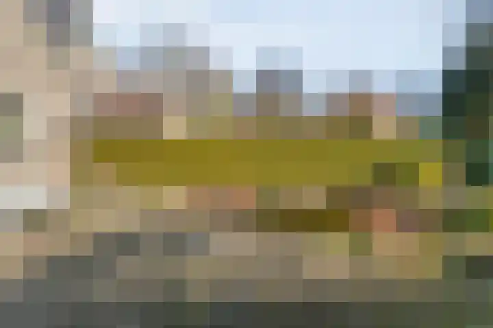Torenvalk 12 Raalte thumbnail 63