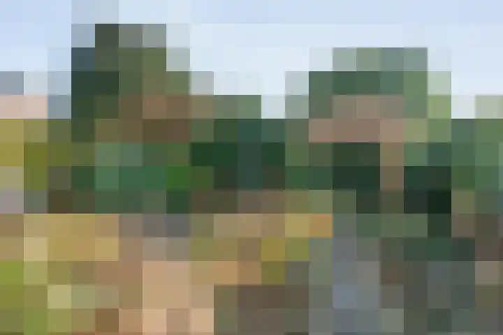 Torenvalk 12 Raalte thumbnail 64