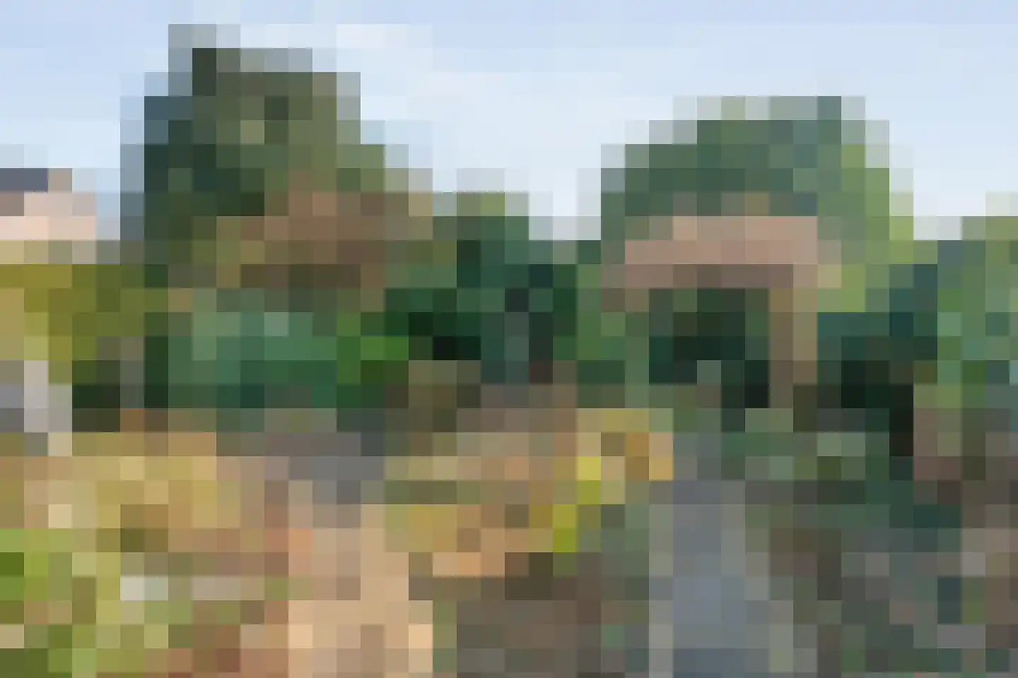 Torenvalk 12 Raalte thumbnail 64