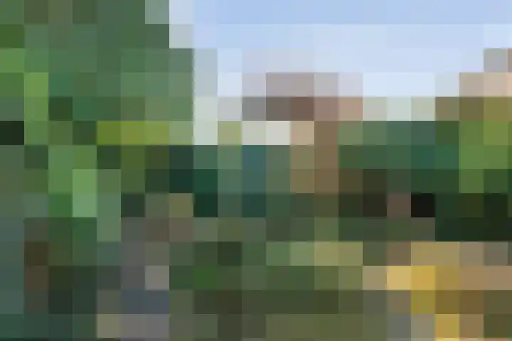 Torenvalk 12 Raalte thumbnail 65