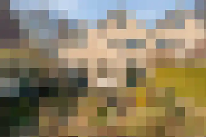 Torenvalk 12 Raalte thumbnail 66