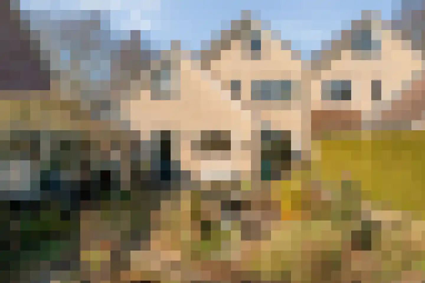 Torenvalk 12 Raalte thumbnail 66