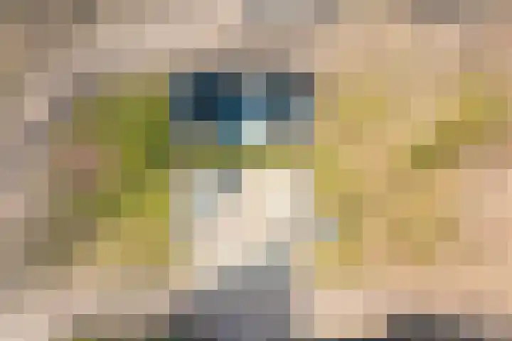 Torenvalk 12 Raalte thumbnail 68