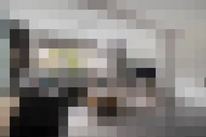 Torenvalk 127 Emmen thumbnail 10