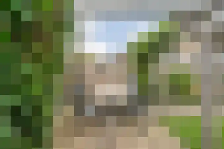 Torenvalk 127 Emmen thumbnail 32