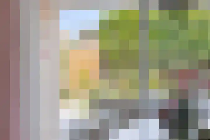 Torenvalk 13 Meppel thumbnail 10