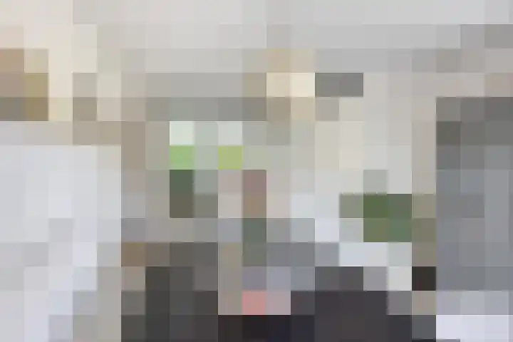Torenvalk 13 Meppel thumbnail 15