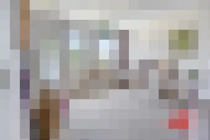 Torenvalk 13 Meppel thumbnail 18