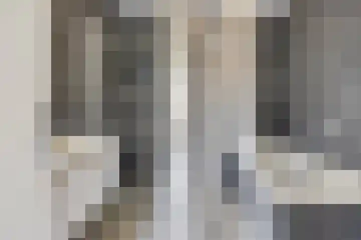 Torenvalk 13 Meppel thumbnail 22