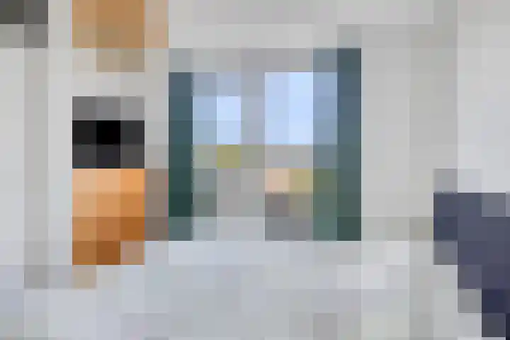 Torenvalk 13 Meppel thumbnail 27