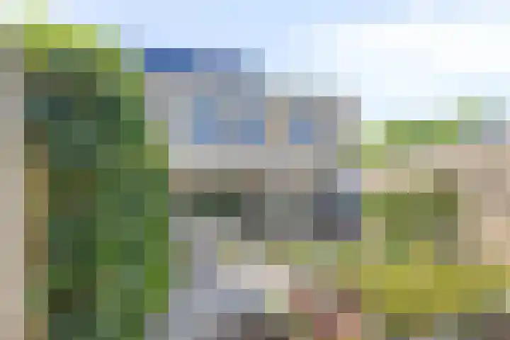 Torenvalk 13 Meppel thumbnail 29