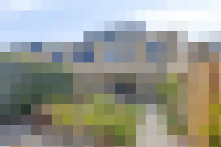 Torenvalk 13 Meppel thumbnail 30