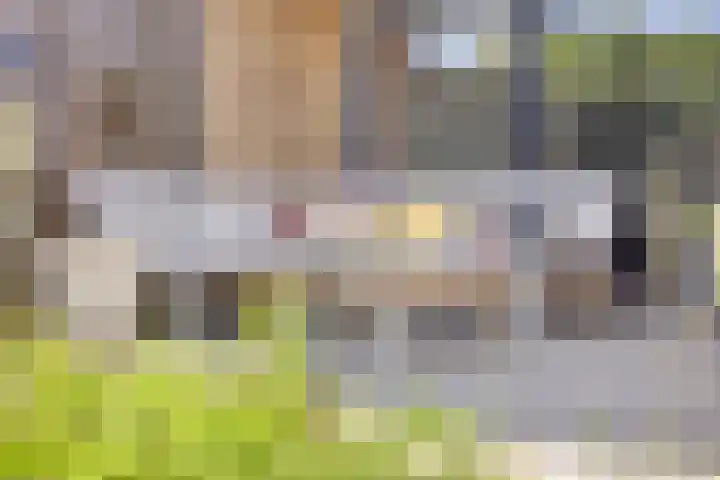 Torenvalk 13 Meppel thumbnail 31