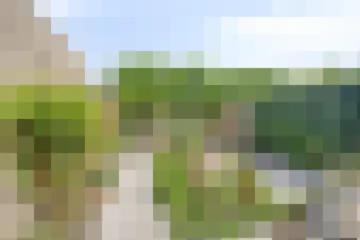 Torenvalk 13 Meppel thumbnail 33